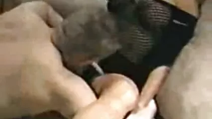 ایک نوجوان گیگولو ایک پرکشش بوڑھی عورت دانلود فیلم سکسی رمانتیک کو بستر پر مطمئن کر رہا ہے۔.